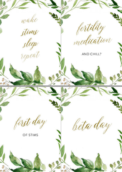 IVF Milestone Cards | Pregnancy Journey | Floral | Infertility |  Photo Prop | Memories | 36 Card Set - Elisa  SAVVY PAPER CO